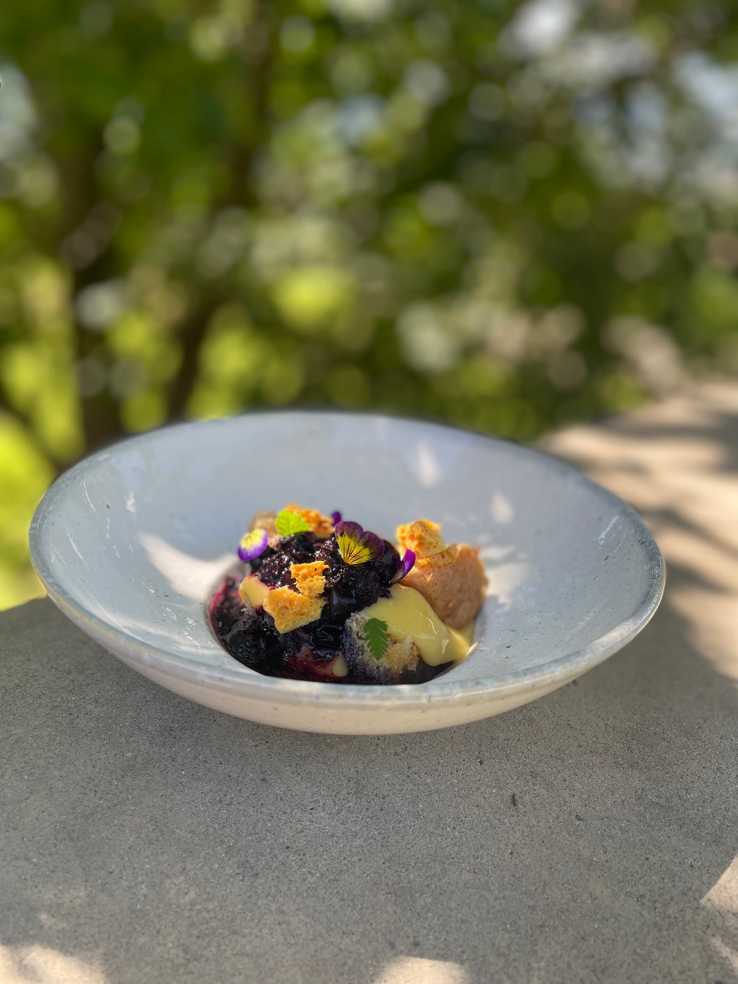 BC Blueberries with Lemon Curd and Almond Sponge