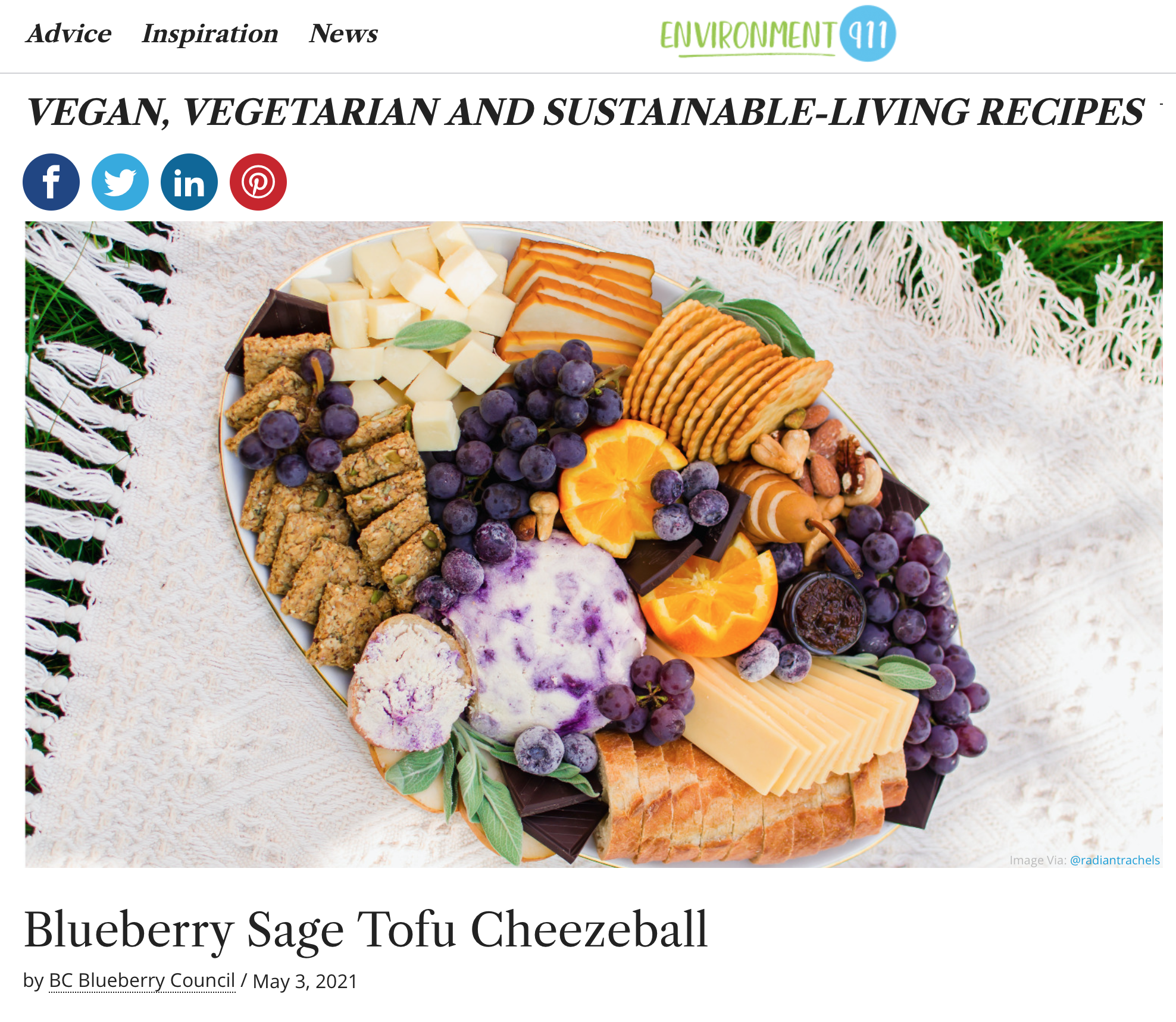 "Blueberry Sage Tofu Cheezeball" article by Environment 911 featuring BC Blueberries