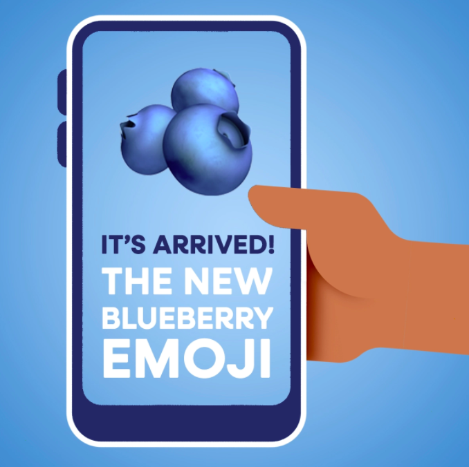 blueberry emoji