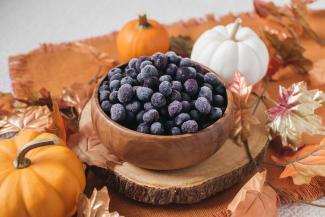 Frozen BC Blueberries and pumpkins. Photo credit: BC Blueberries. 