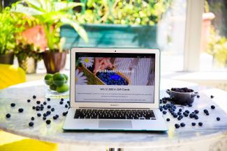Go Blue BC website. Photo credit BC Blueberry Council. 