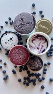 Blueberry Ice Cream