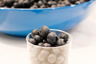 Fresh BC Blueberries for World Alzheimer Month
