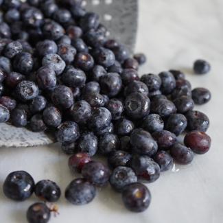 Canada Agriculture Day BC Blueberries