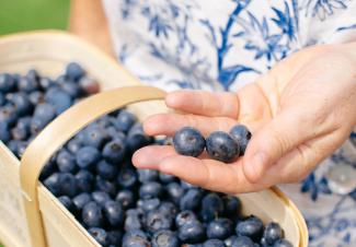 Woman holding blueberries and a basket