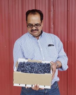 Anand Aujlay holding a box of his farm's blueberries.