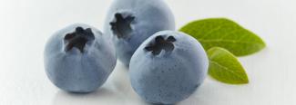 BC blueberries are now in season