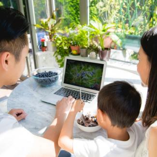 Laptop and bowl of fresh blueberries