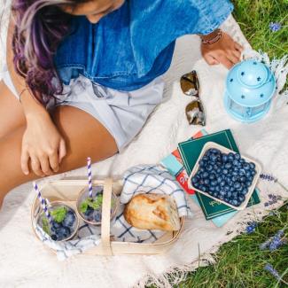 Blueberry Picnic