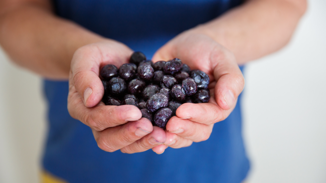 BC Blueberries - Hands Holding Frozen Blueberries