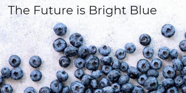 The Future is Bright Blue