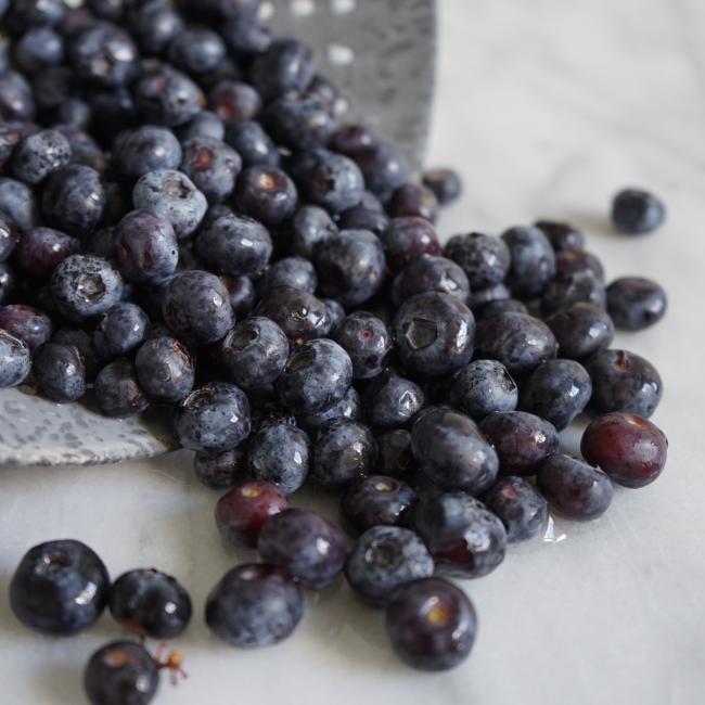 Canada Agriculture Day BC Blueberries
