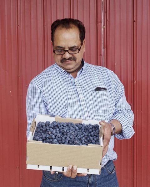 Anand Aujlay holding a box of his farm's blueberries.