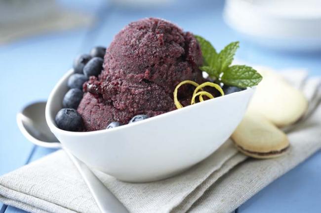 Quick Blueberry Sorbet