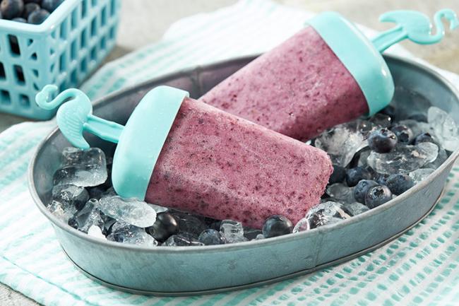 Blueberry Yogurt Ice Pops
