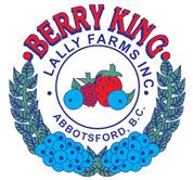 Lally Group