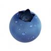 Member Blueberry default