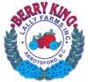Lally Group